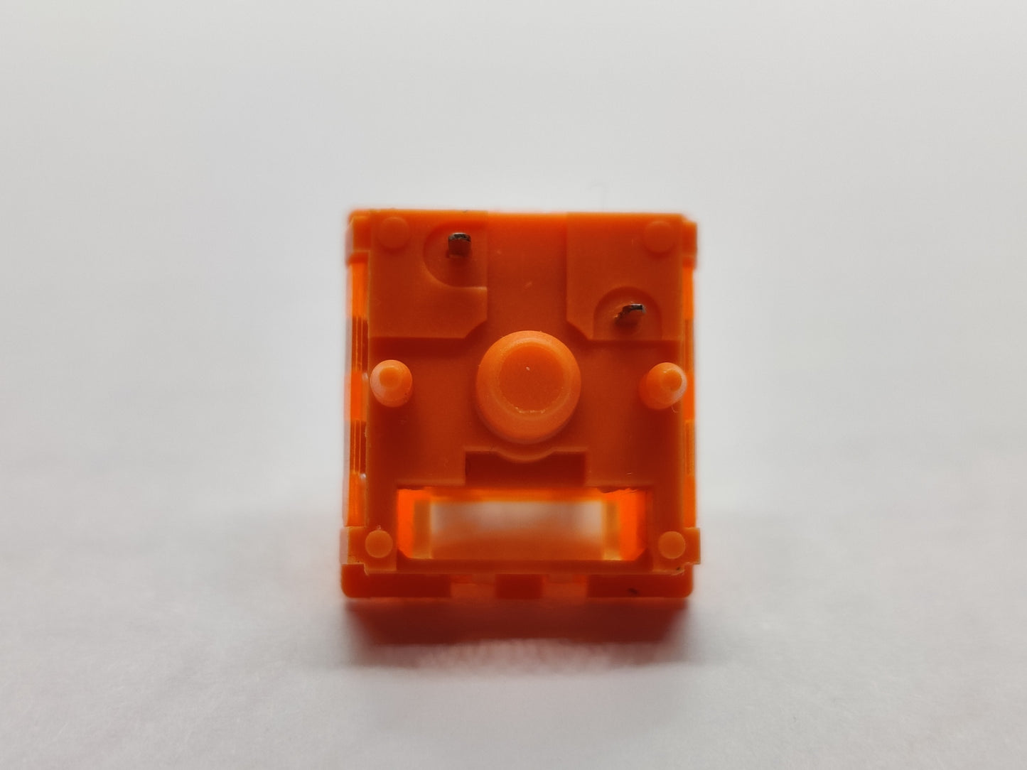 Iceberg Orange V2