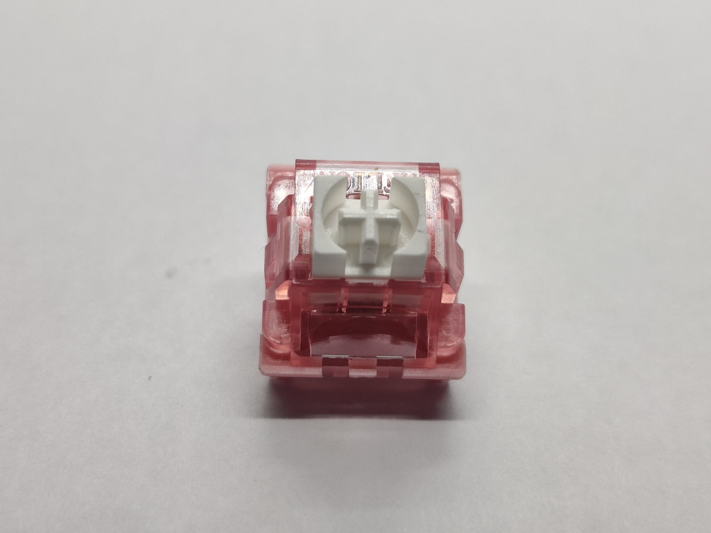 Iceberg Pink V2