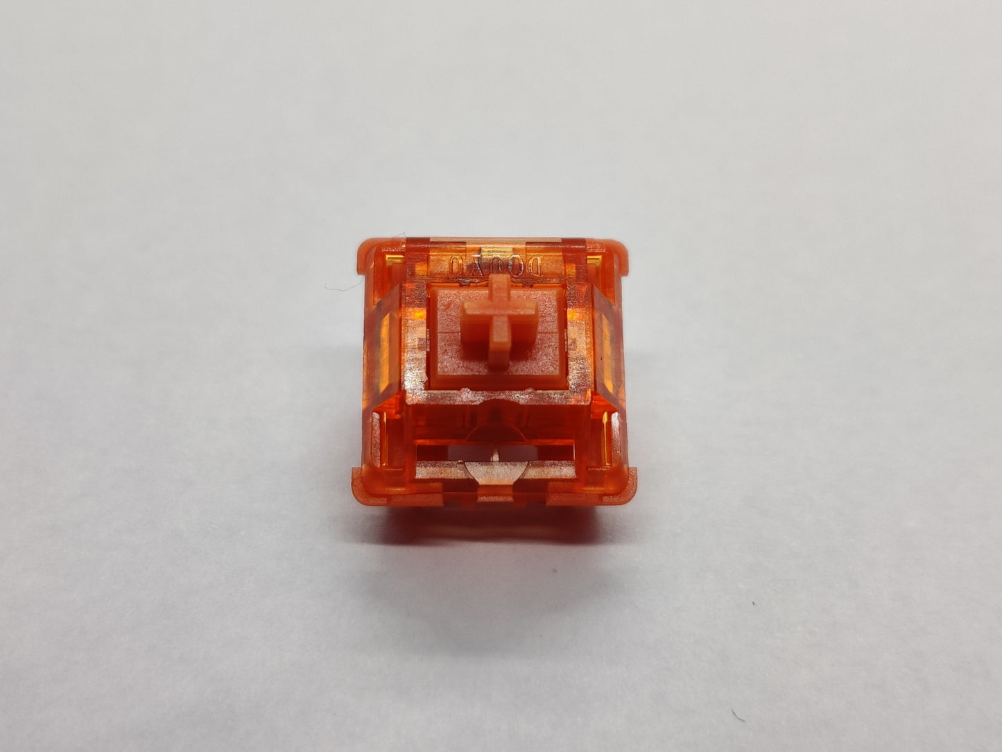 Douyu Orange