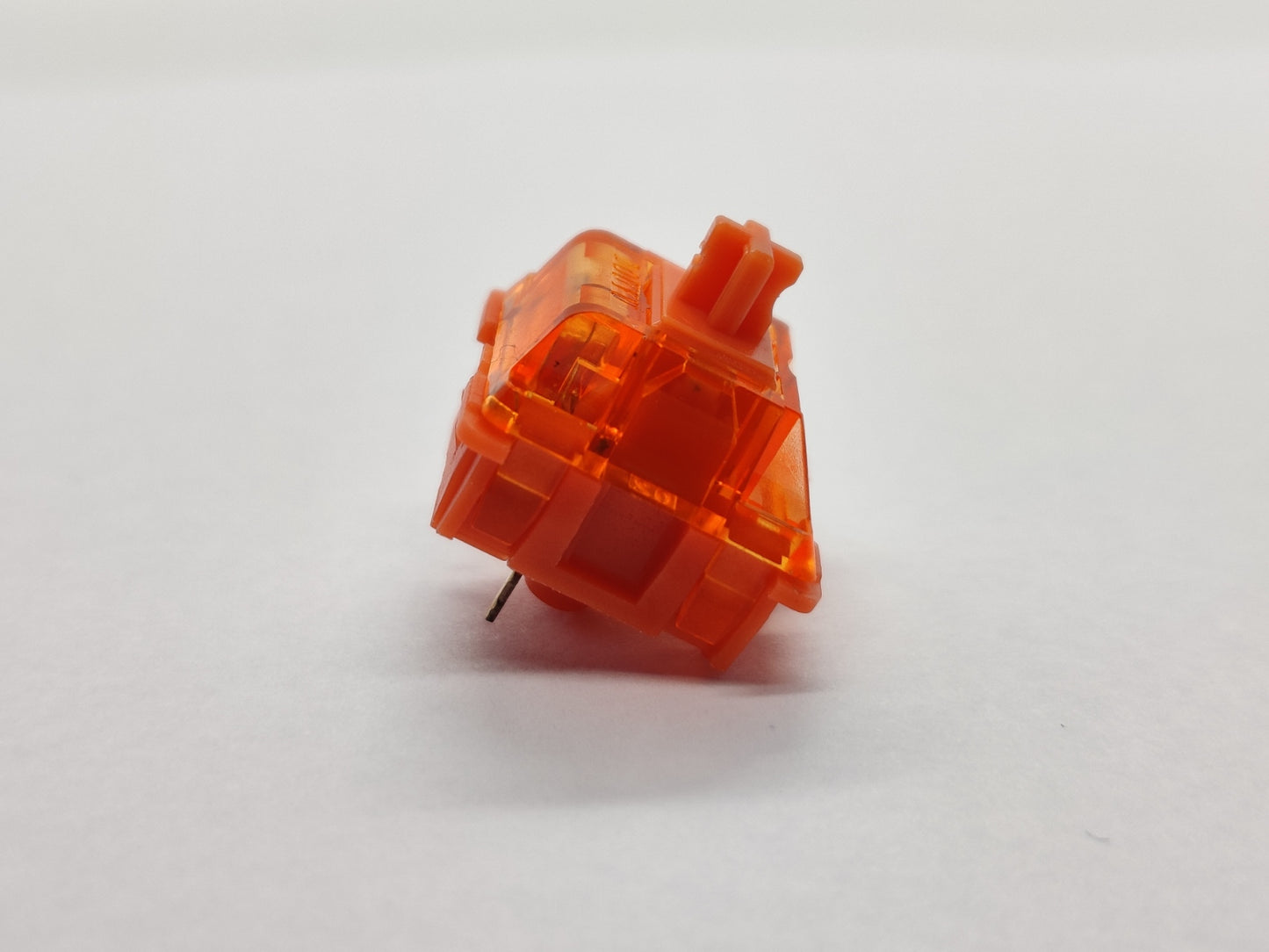 Douyu Orange