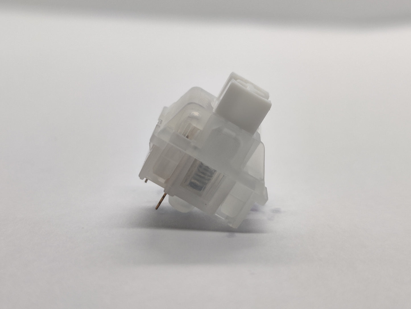 Akko Jelly White