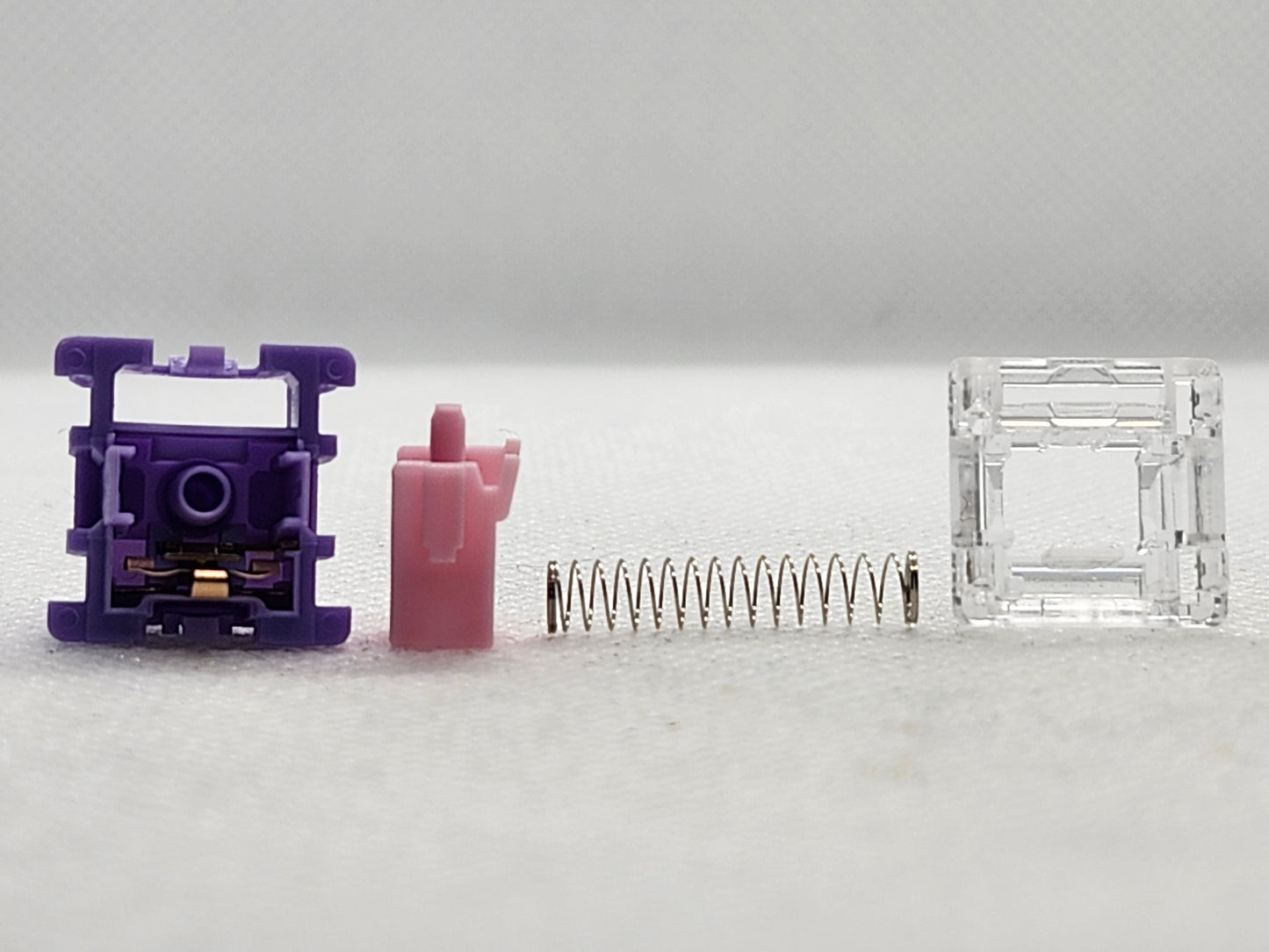 FLCMMK Bauhinia Orchids