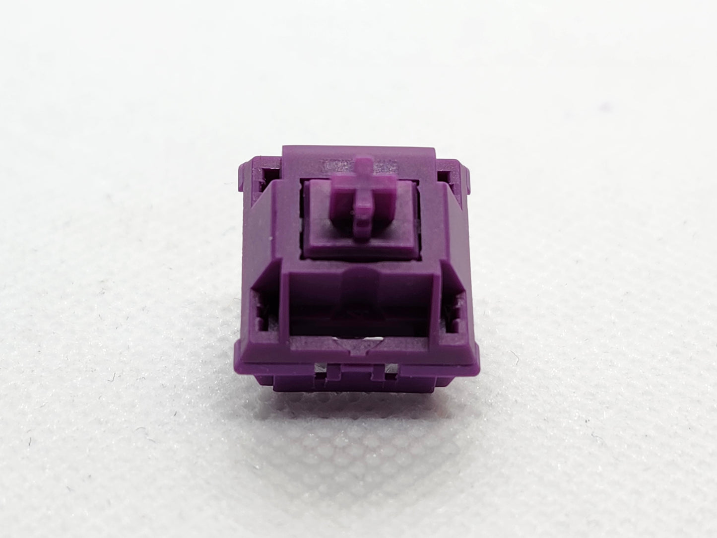 Keygeek Begonia