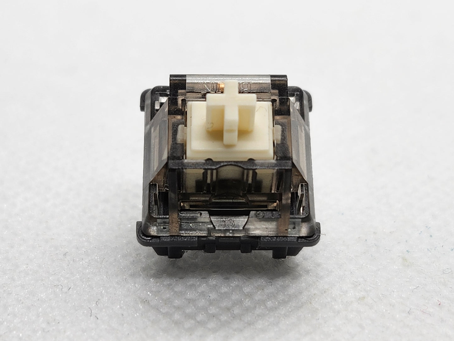 BSUN Raccoon Panda V2