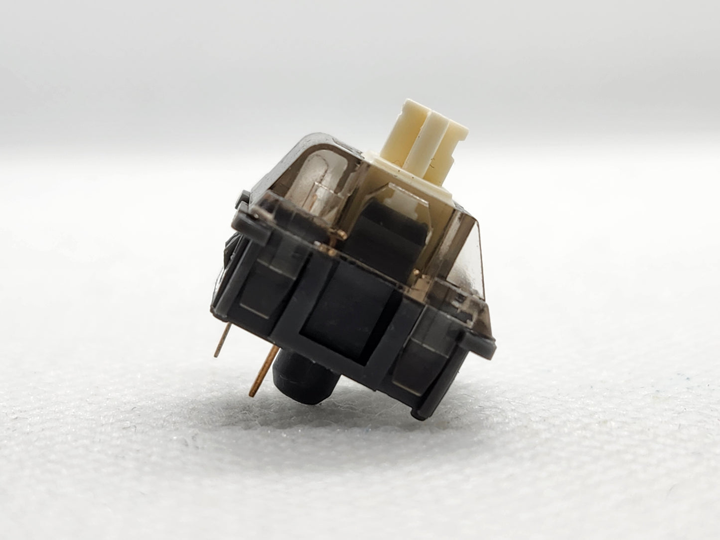 BSUN Raccoon Panda V2