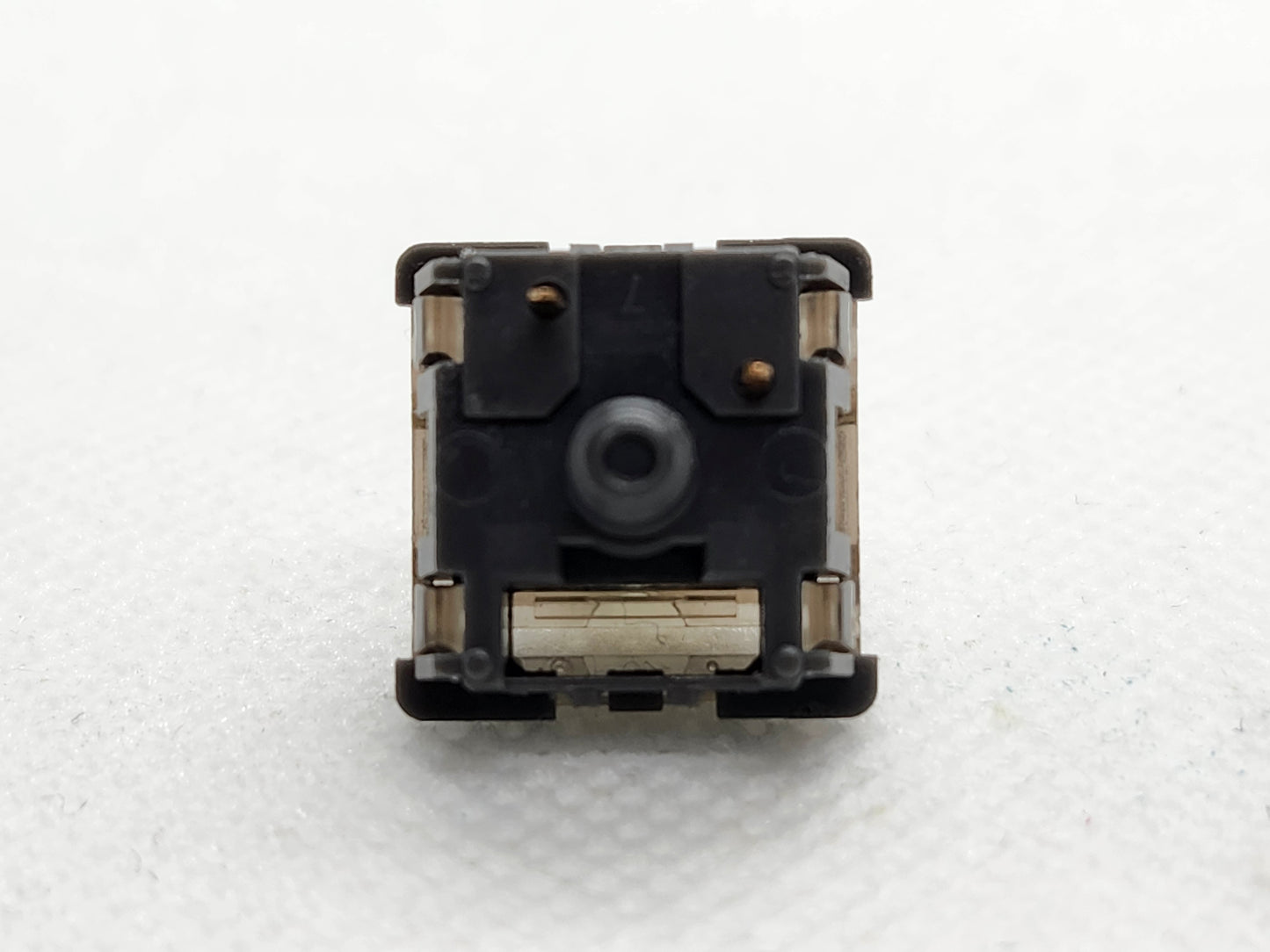 BSUN Raccoon Panda V2