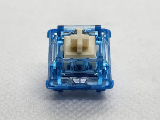 BSUN Polar Panda V2