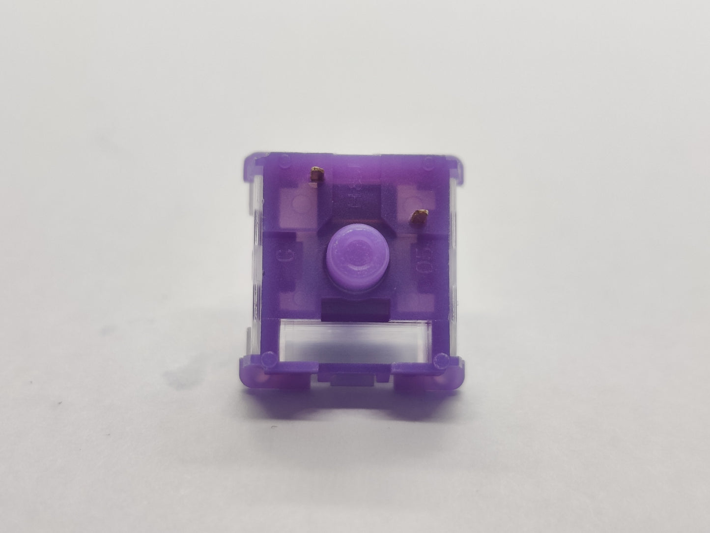 CIY Evo Purple S