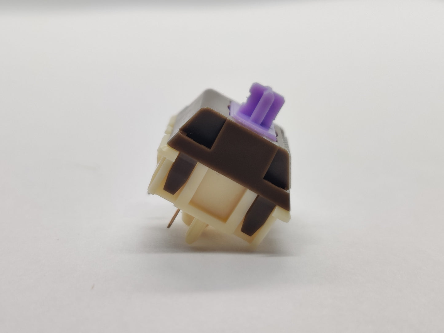 Domikey x Glove Chocolate Donut Purple