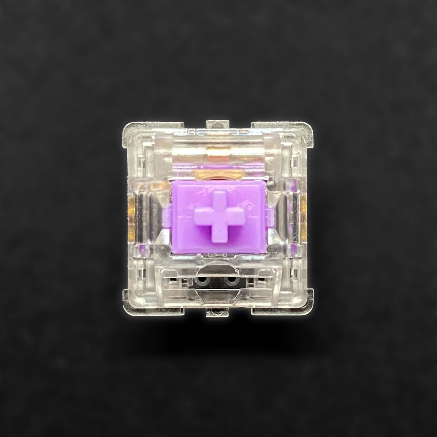 Durock L4 Creamy Purple - Clear