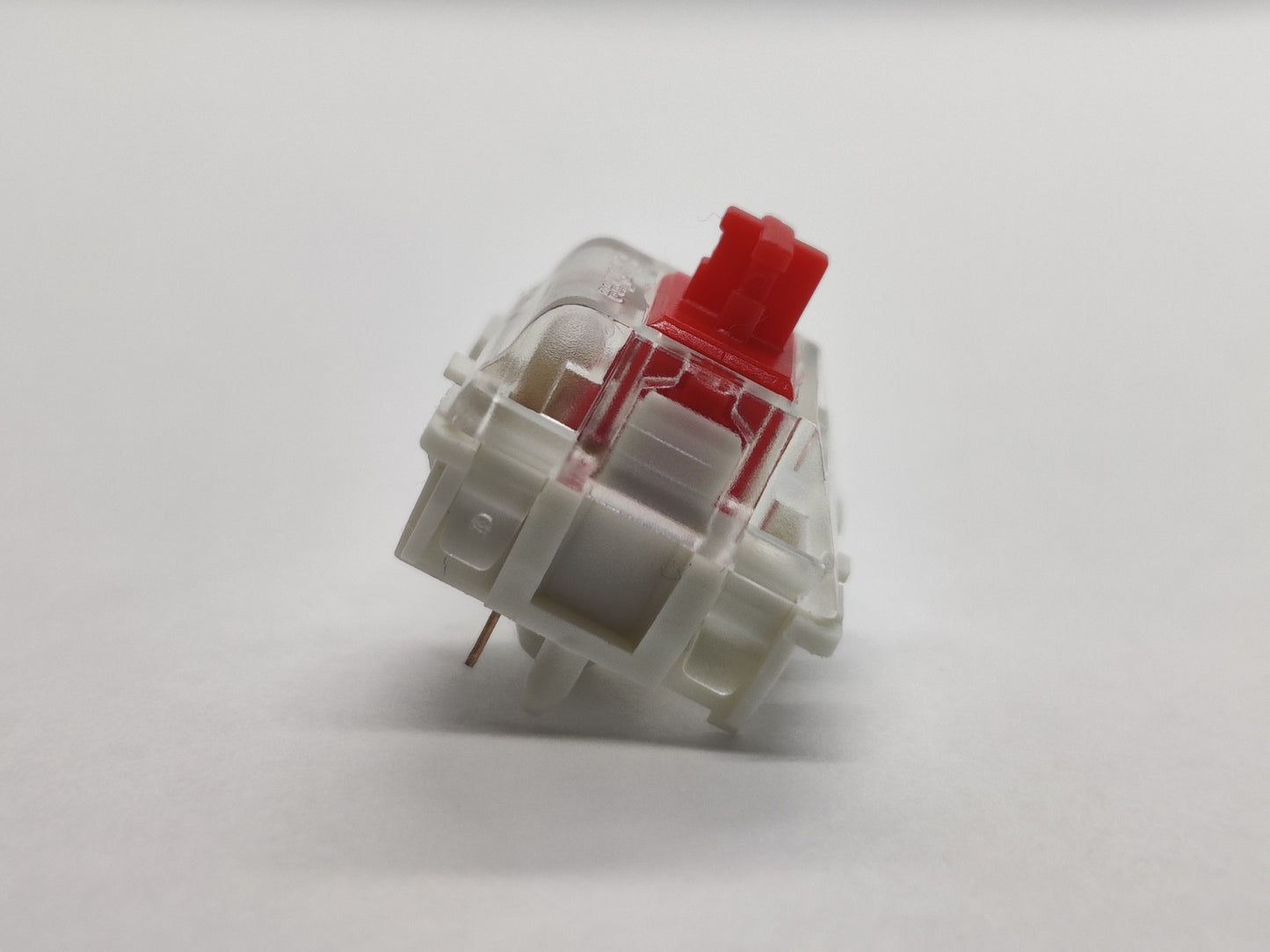 EverFree Red