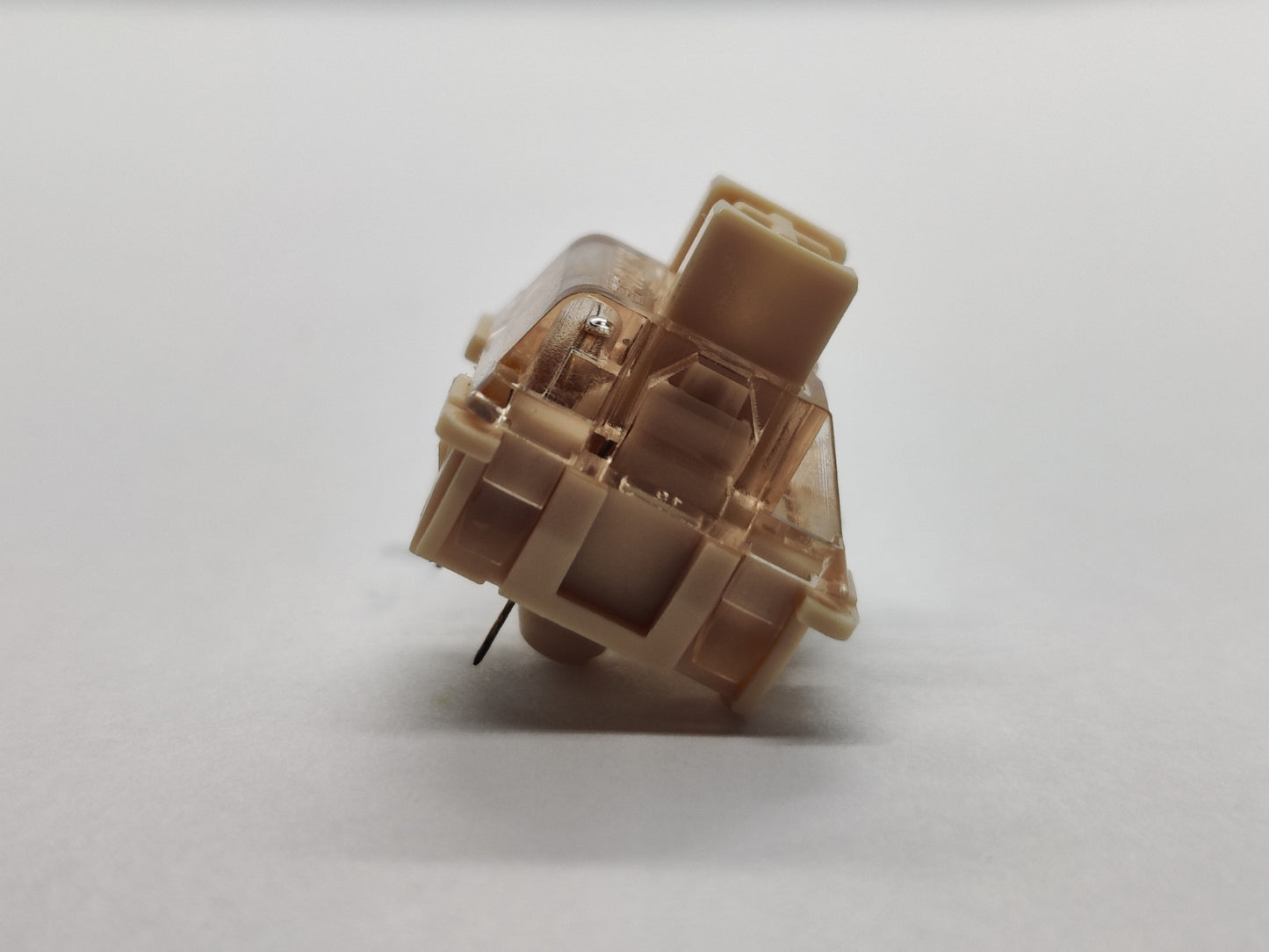 G.Rule Dustproof Brown