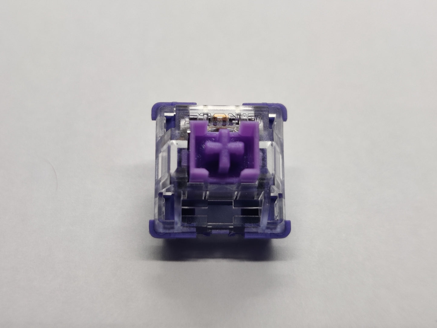 G.Rule Purple