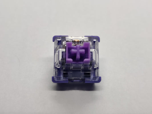 G.Rule Purple