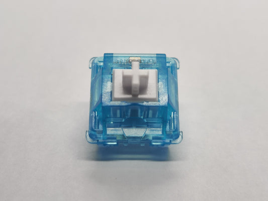 Holy Tom RT (Huano Blue/White SE)