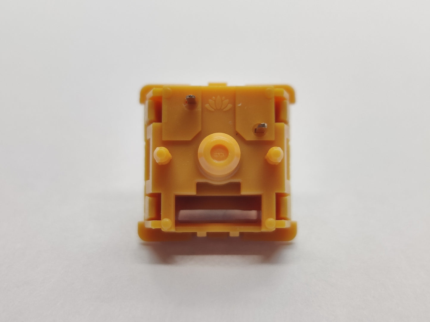 Infinity Key Mango Milk (POM)