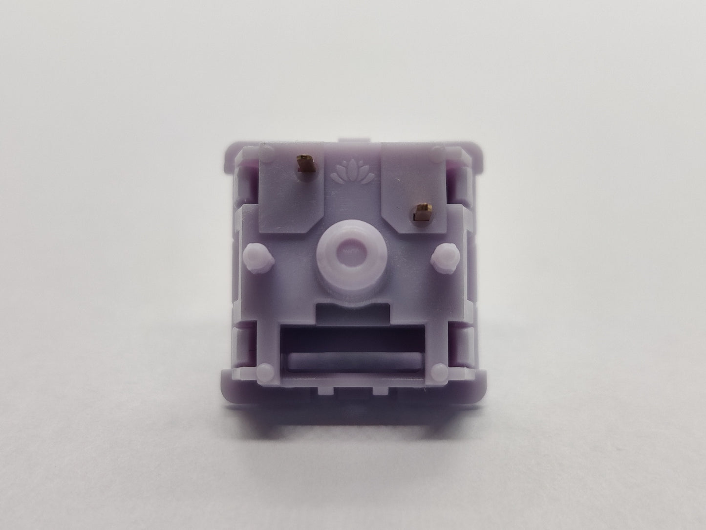 Infinity Key Taro Milk (POM)