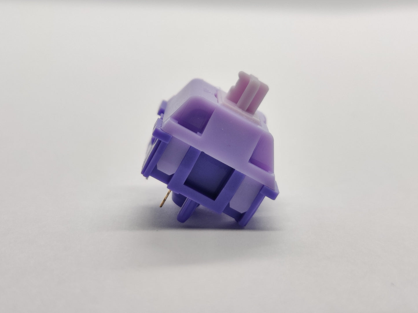 KTT Lavender