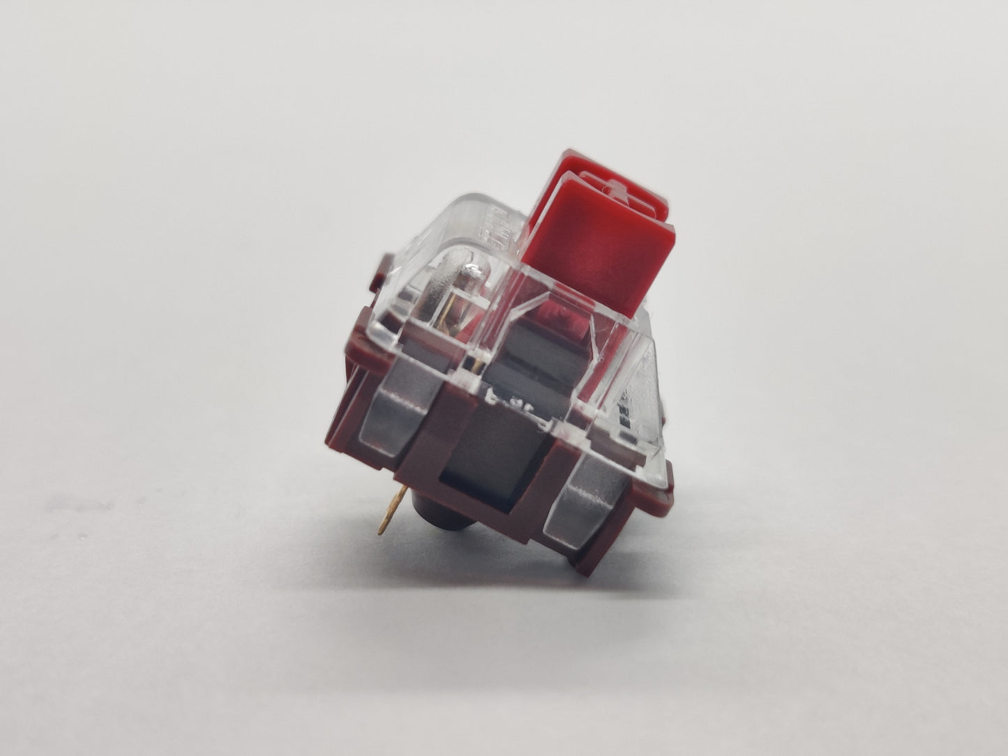 G.Rule Cherry Blossom