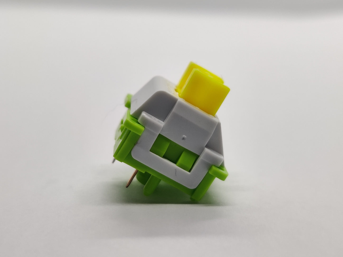 Leobog Leek (Chive) V2