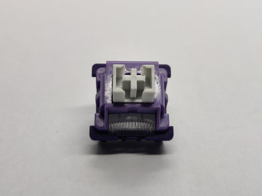 Leobog Purple King