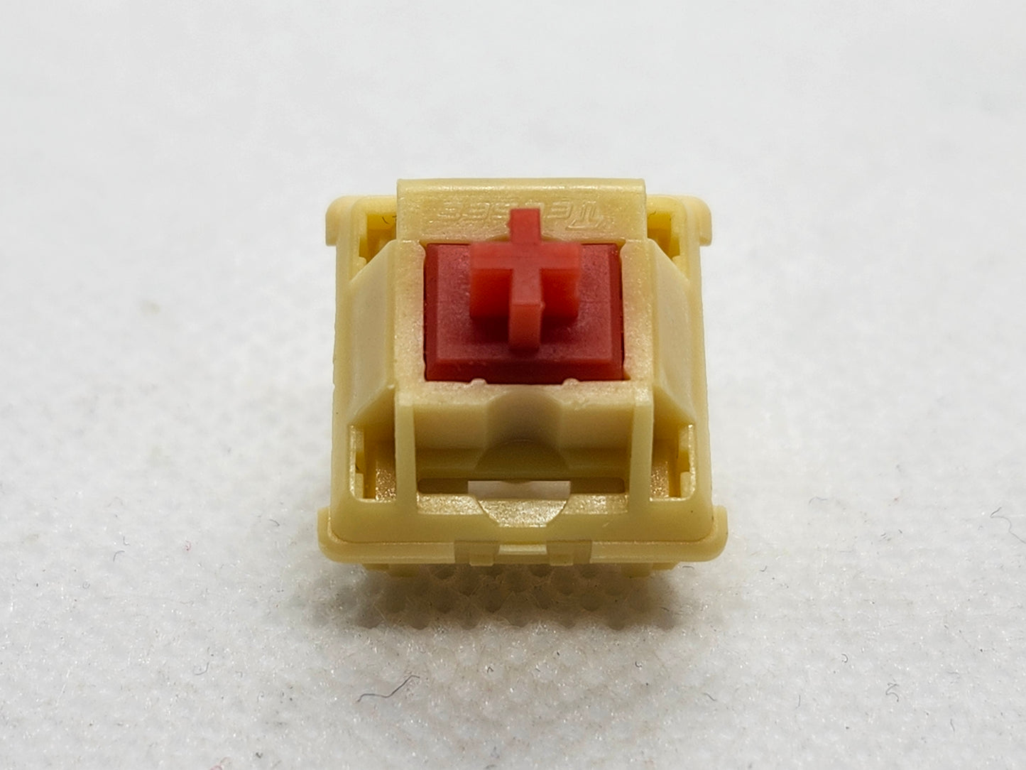 Tecsee Maple Leaf