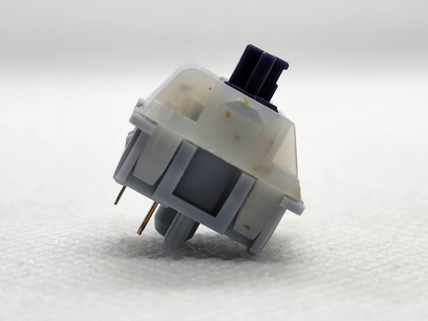 Invokeys Pea Flower