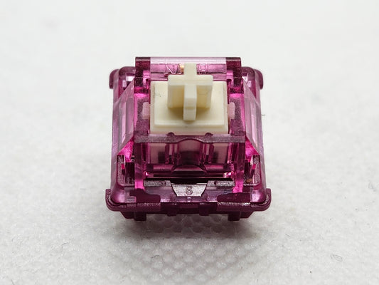 BSUN Dragon Fruit Panda V2