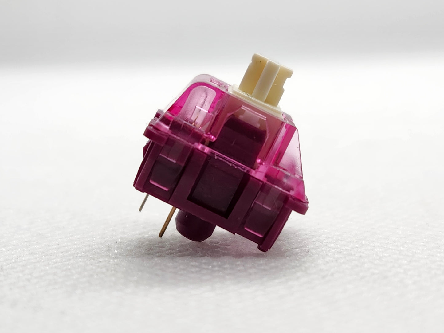 BSUN Dragon Fruit Panda V2