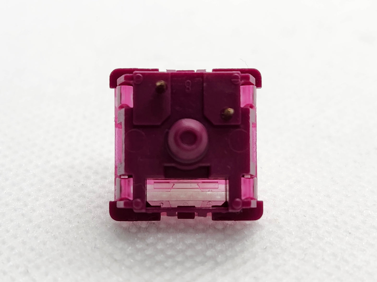 BSUN Dragon Fruit Panda V2