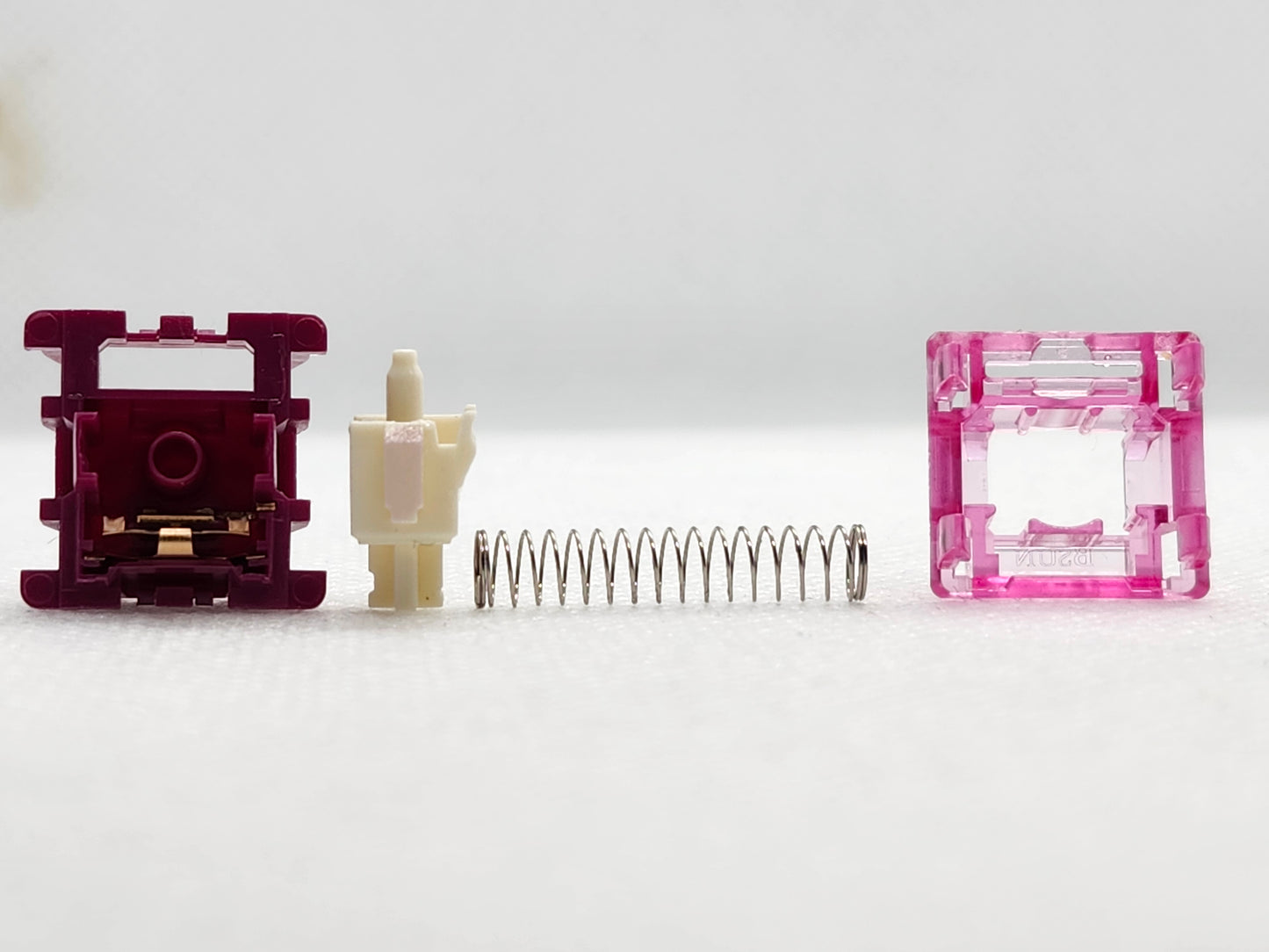 BSUN Dragon Fruit Panda V2