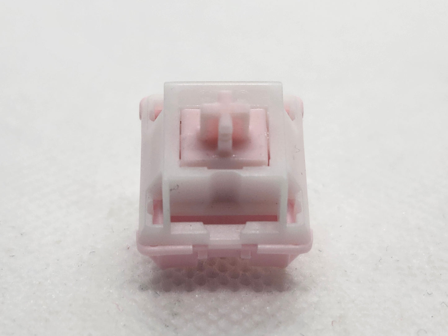QTUO Studio Strawberry Shortcake