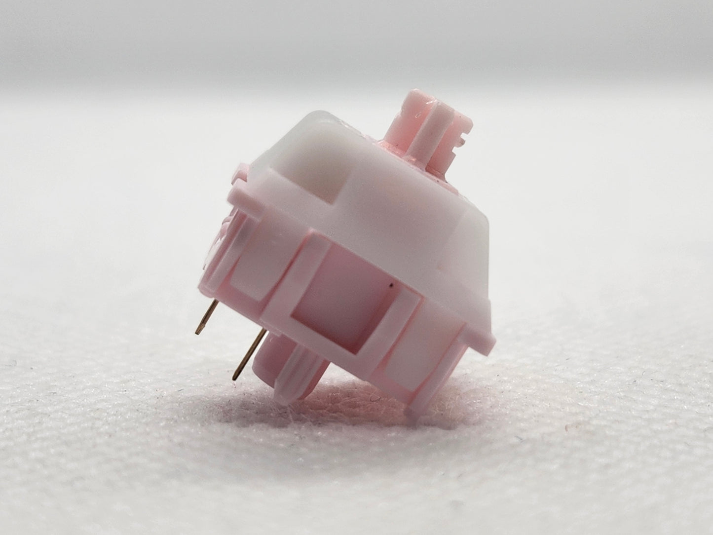 QTUO Studio Strawberry Shortcake