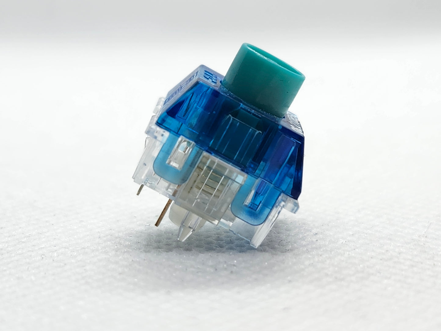TTC Blue Dragon