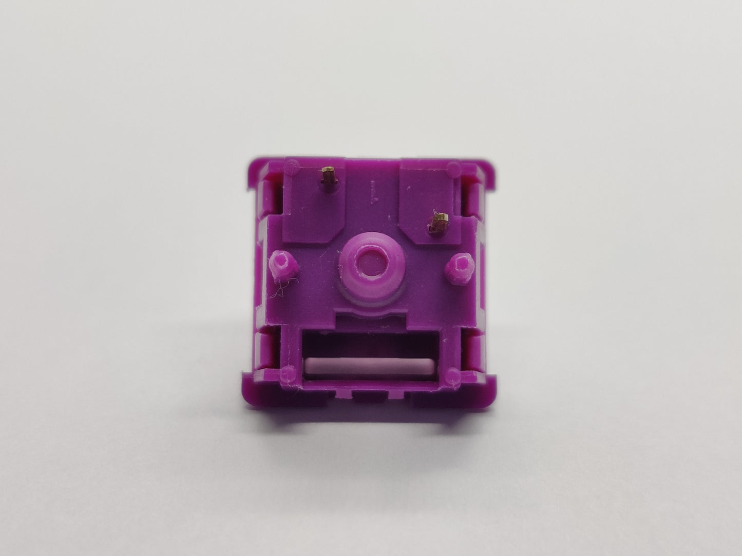 Zepsody Wisteria V1