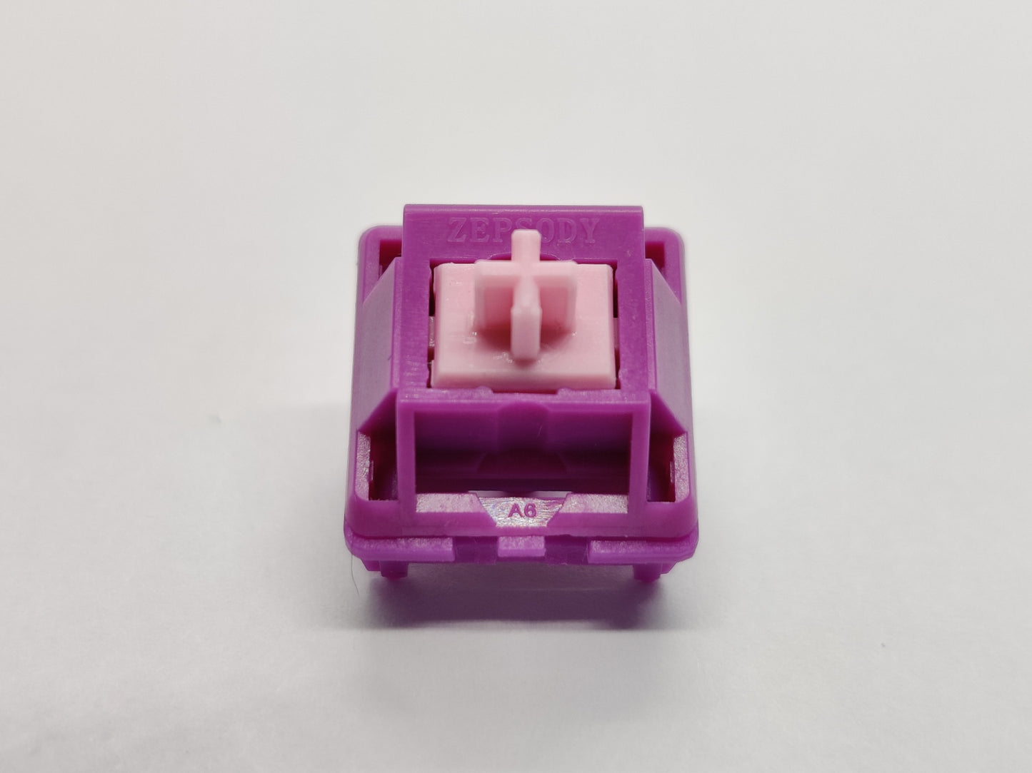 Zepsody Wisteria V2