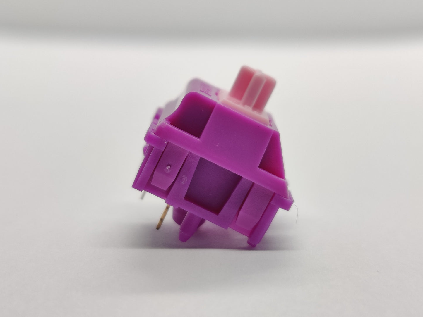 Zepsody Wisteria V2
