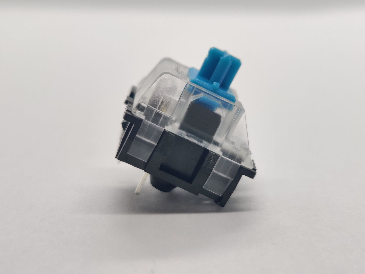 Zorro Blue (Clear Top/Black Bottom)