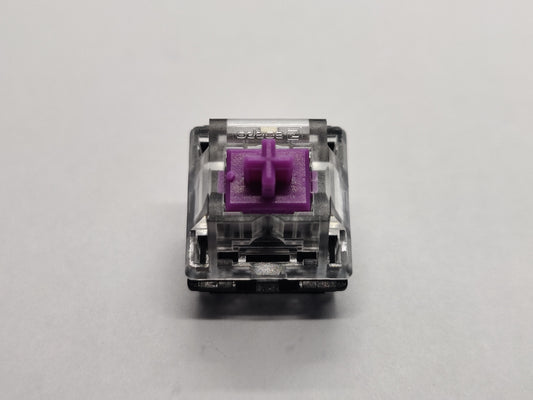 Zorro Violet (Clear Top/Black Bottom)