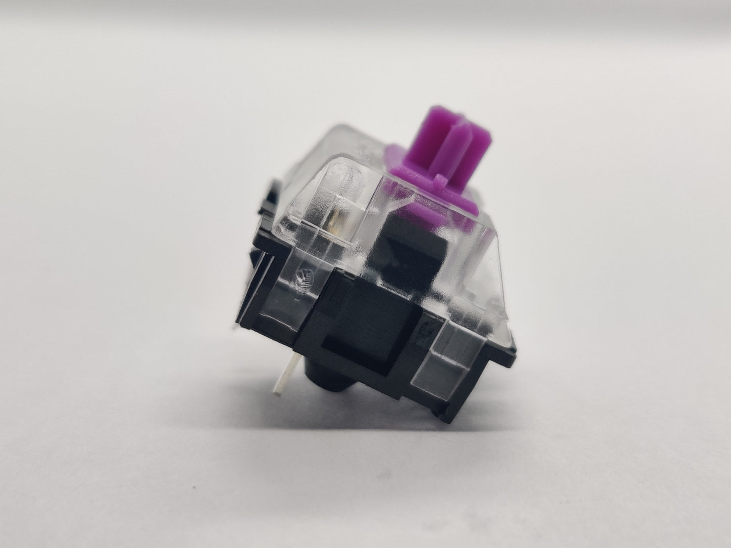 Zorro Violet (Clear Top/Black Bottom)