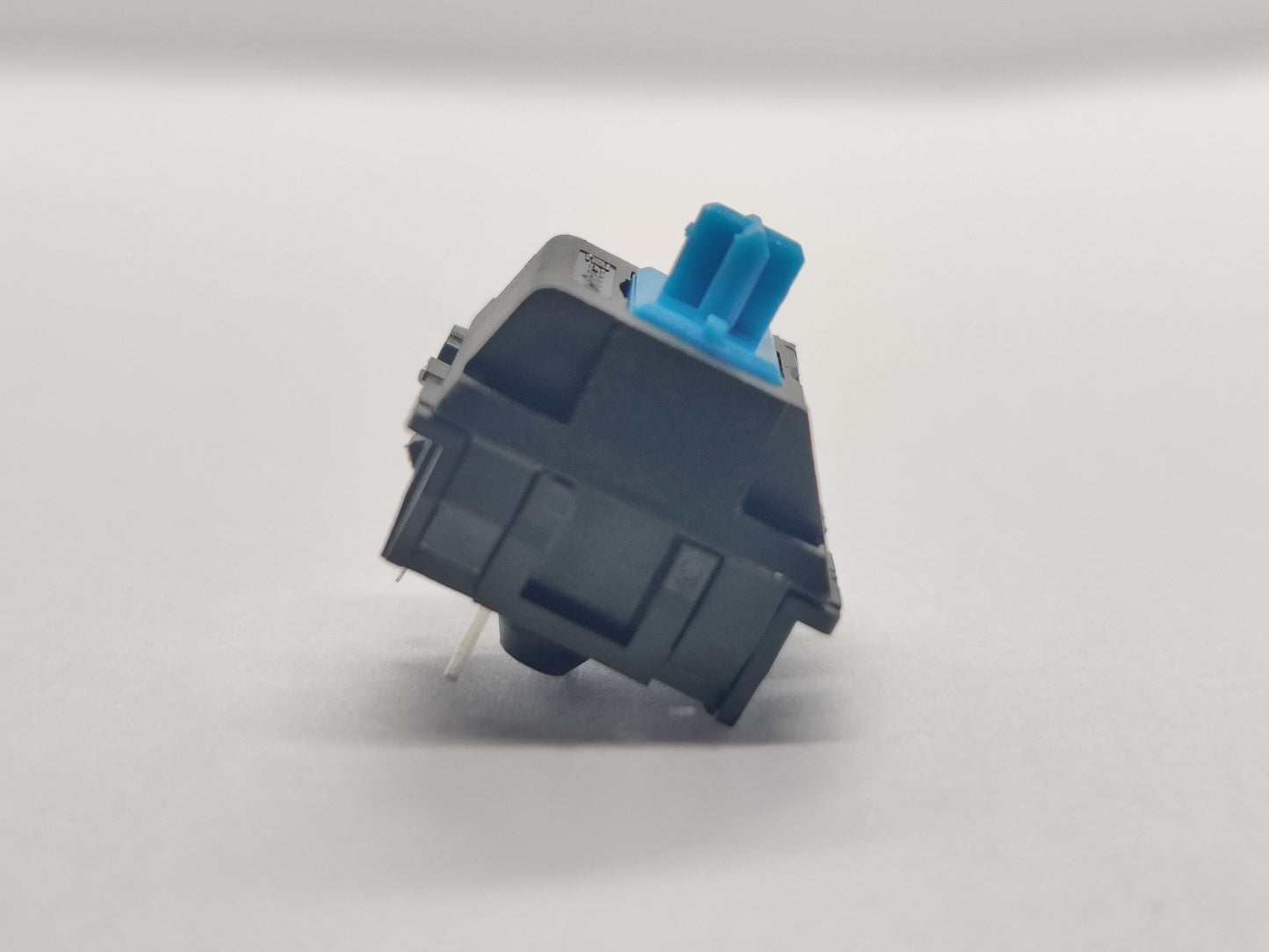 Zorro Blue (Black Housing)