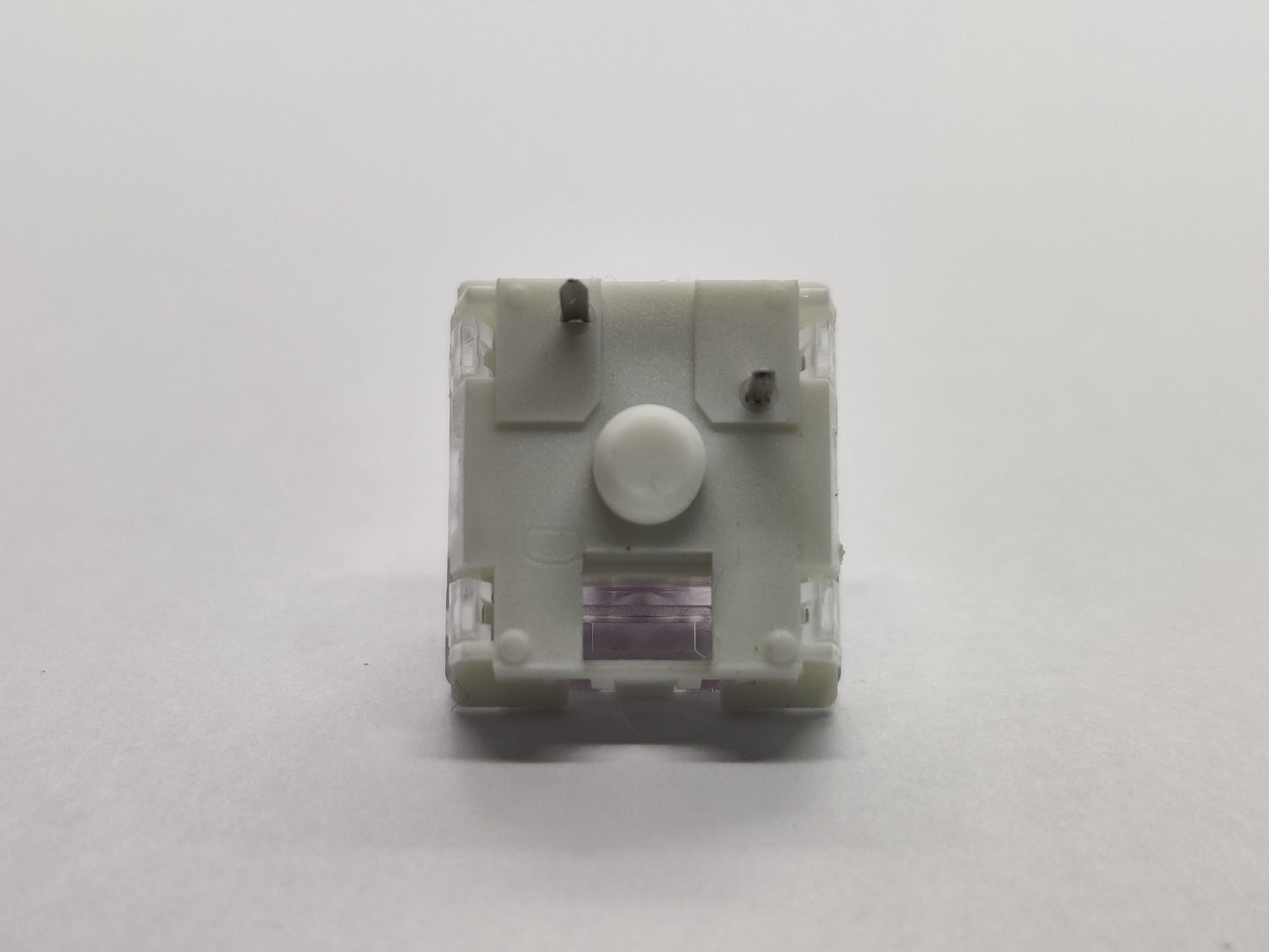 Zorro Violet (White Bottom/Clear Top)