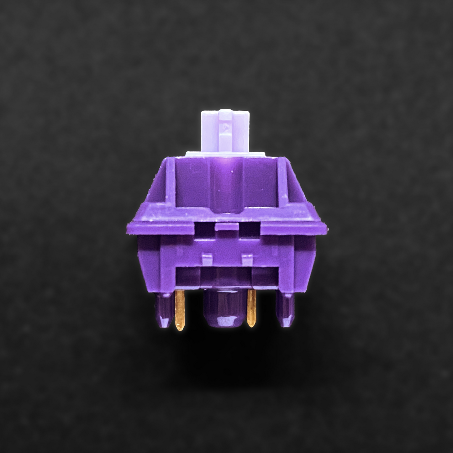 Ashkeebs Amethyst