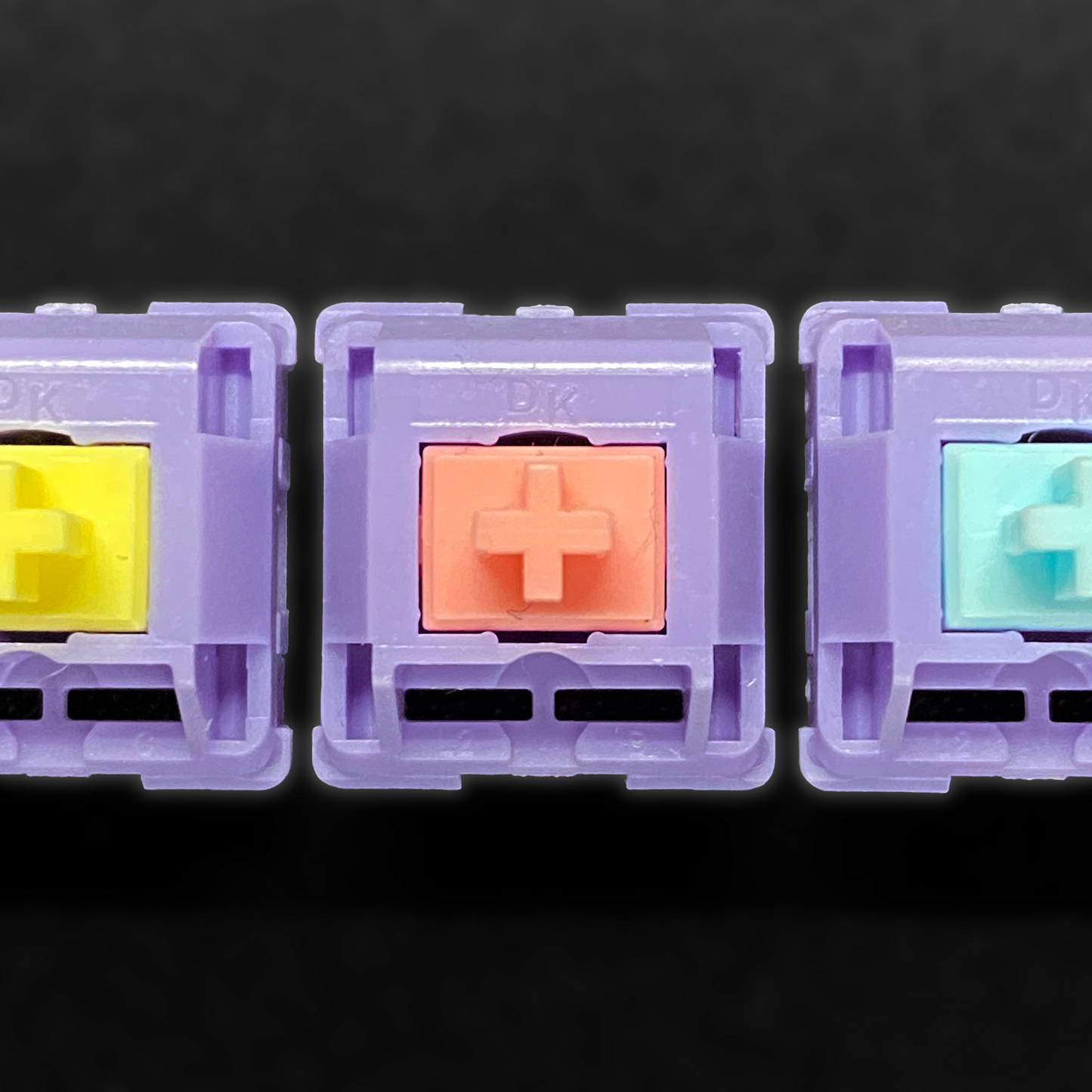 Dangkeebs x KTT HaluHalo V2