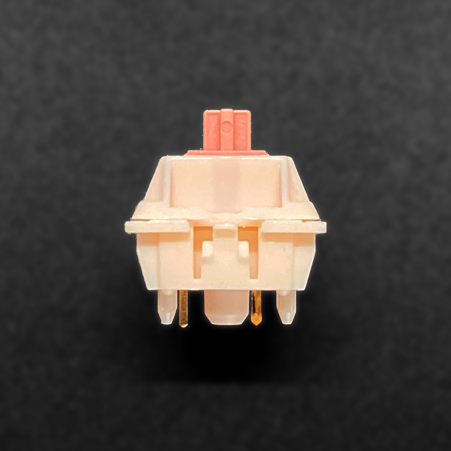 Adobau Labs x MoYu.studio Bouquet