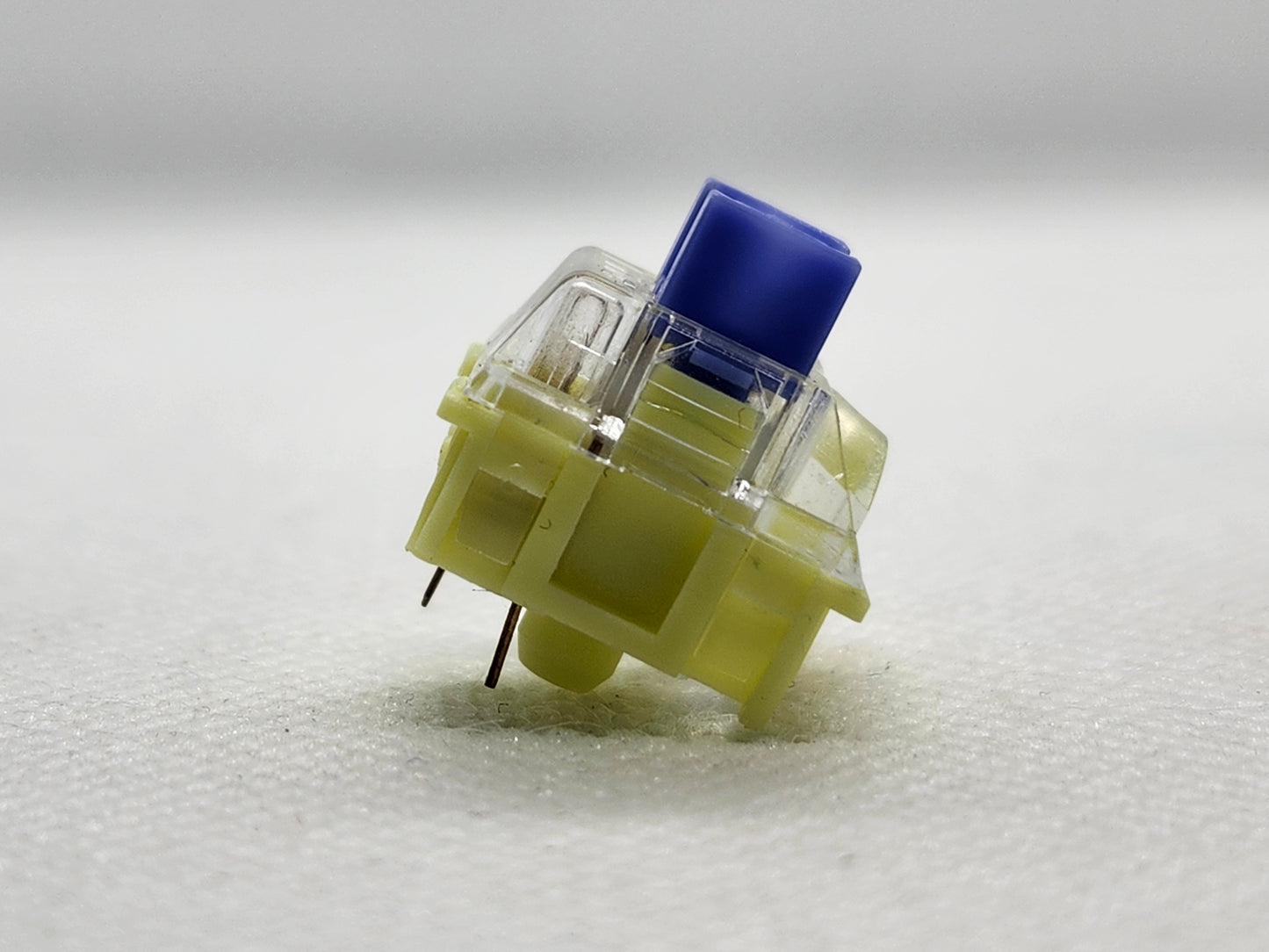 TTC Brother (Gold-Blue) (New LED Condenser)