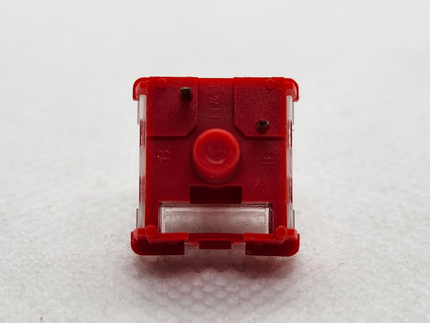 CIY Evolution Red