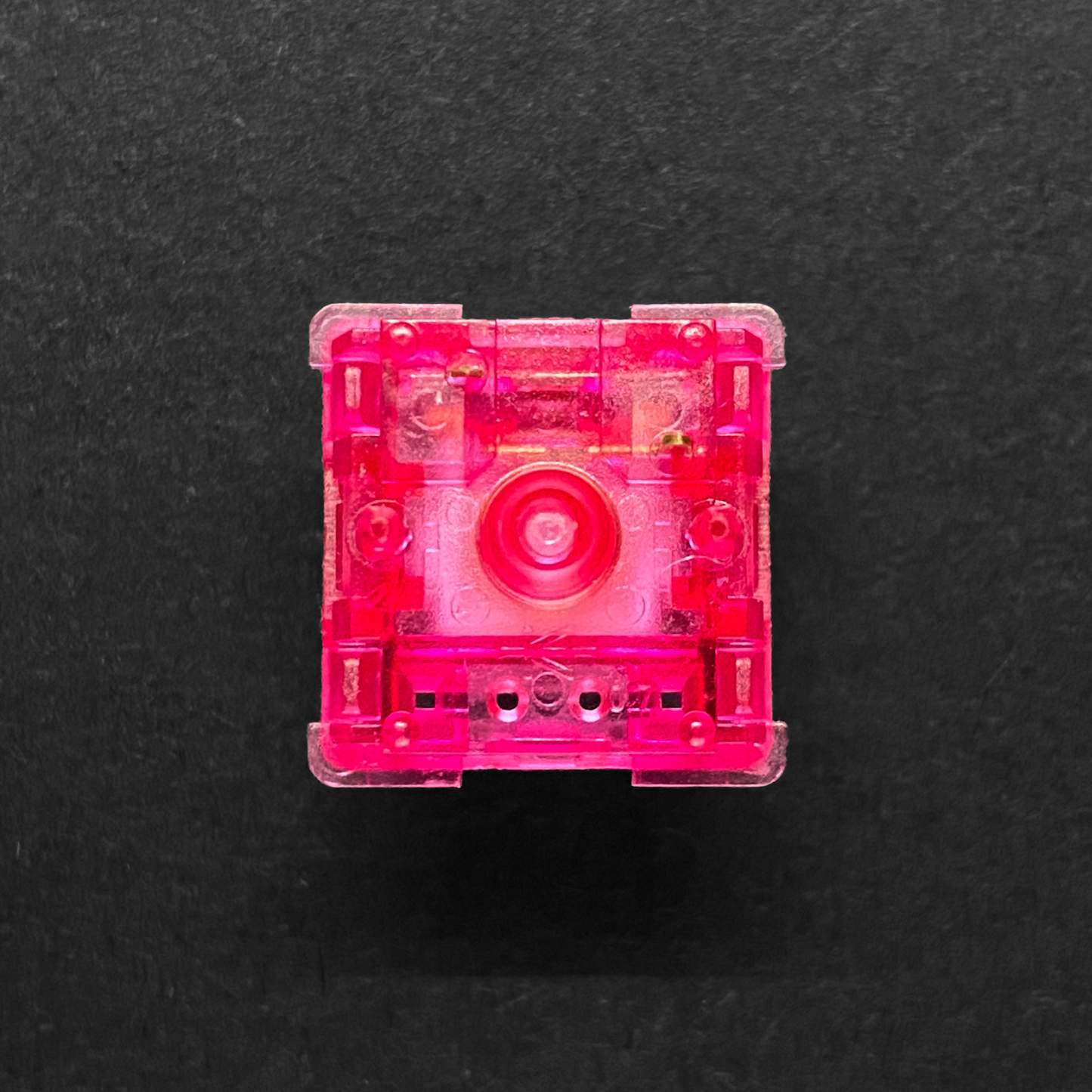 C³Equalz x TKC Dragon Fruit