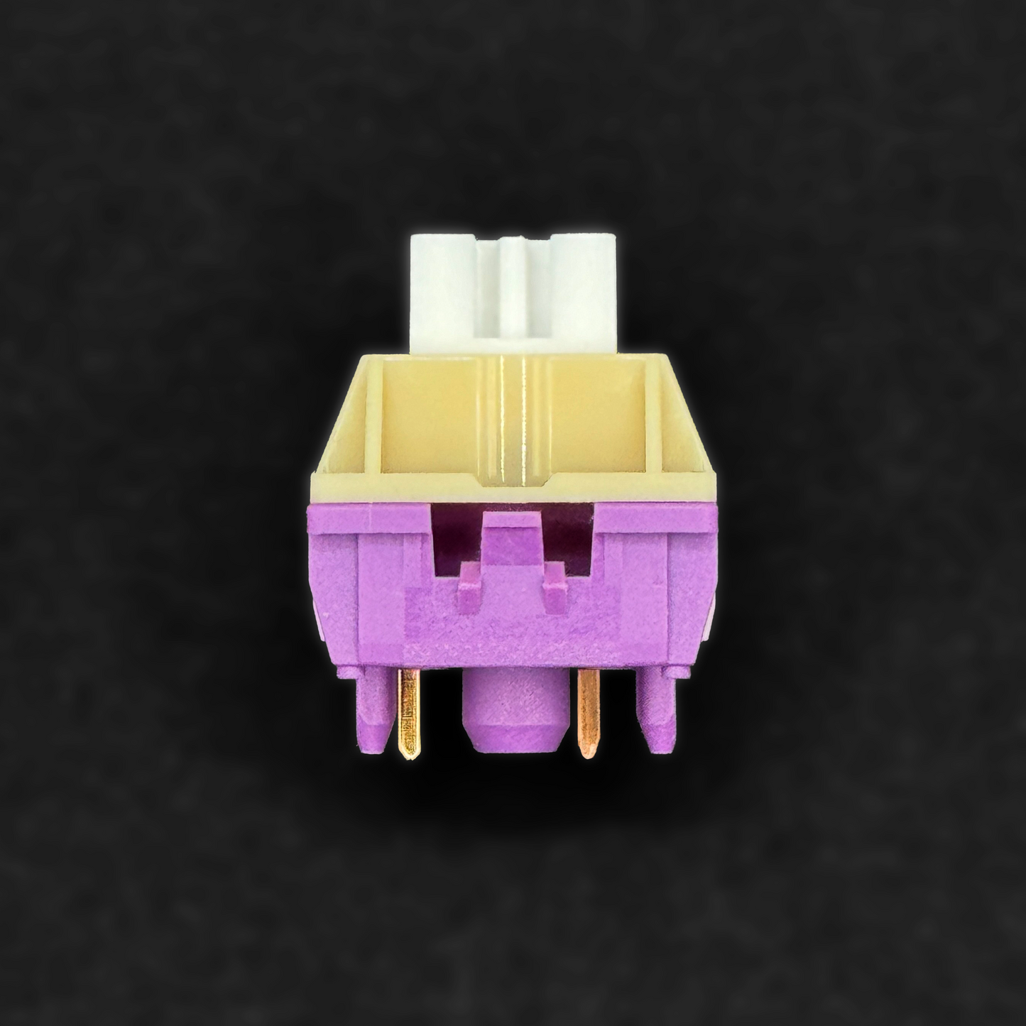 WS Onion