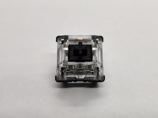 BSUN Black